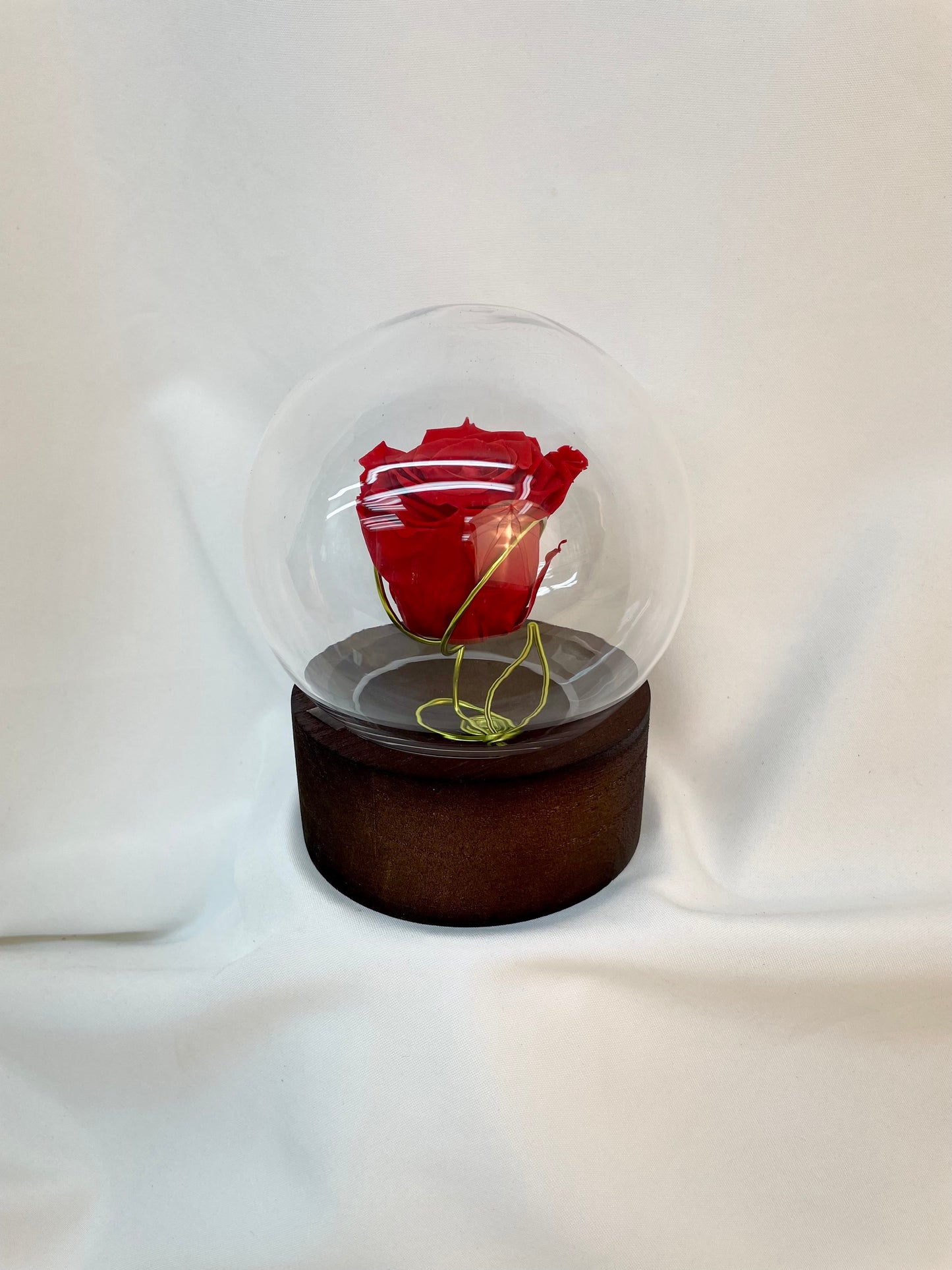 Rose Éternelle Moderne