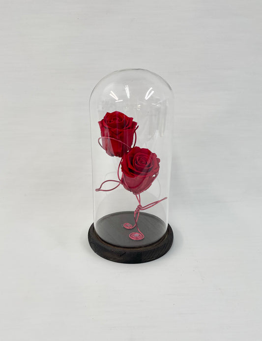 Duo de roses éternelles