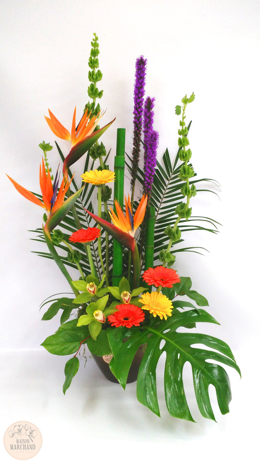Bouquet de fleurs exotiques