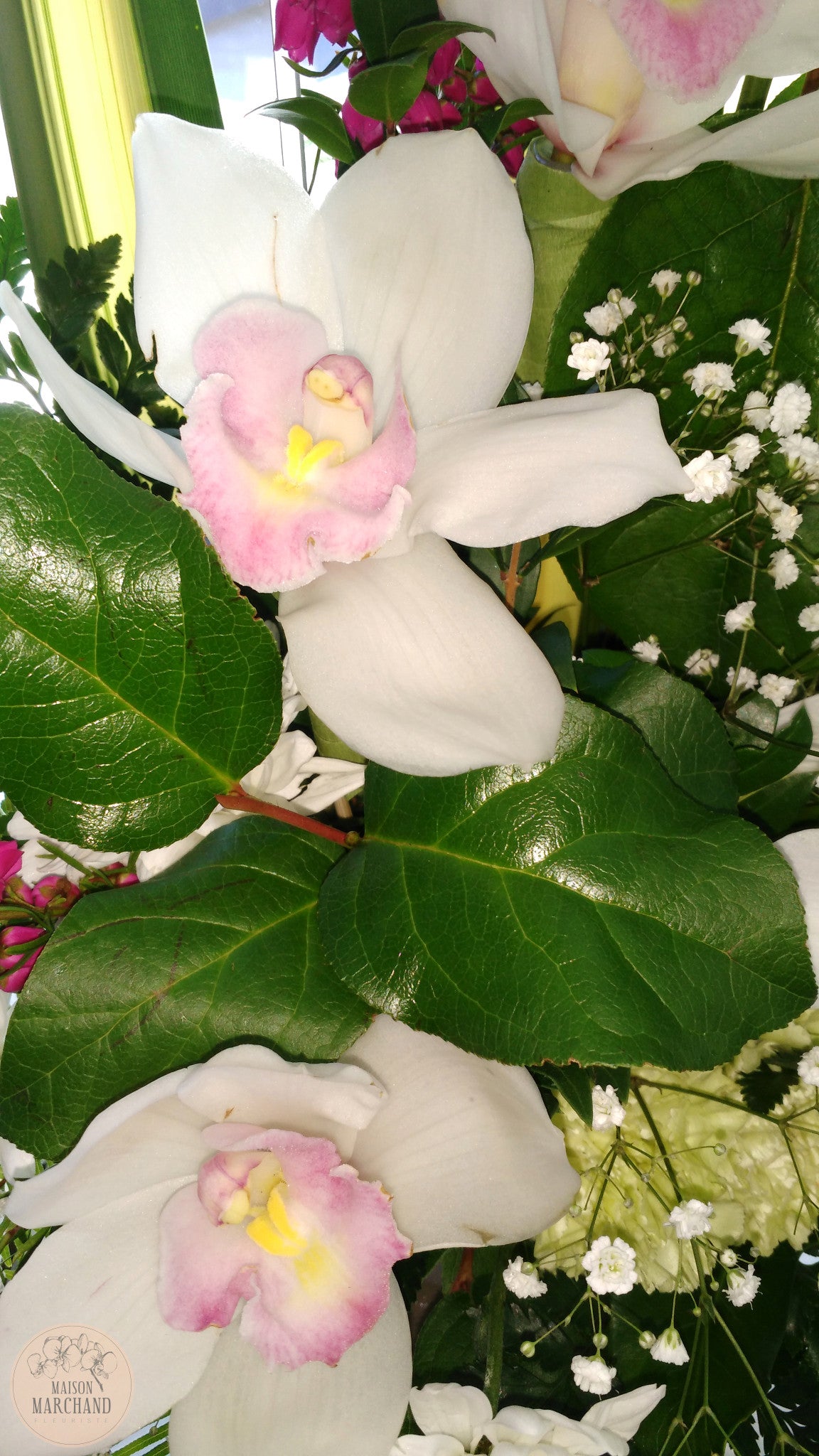 Arrangement funéraire avec camaïeux