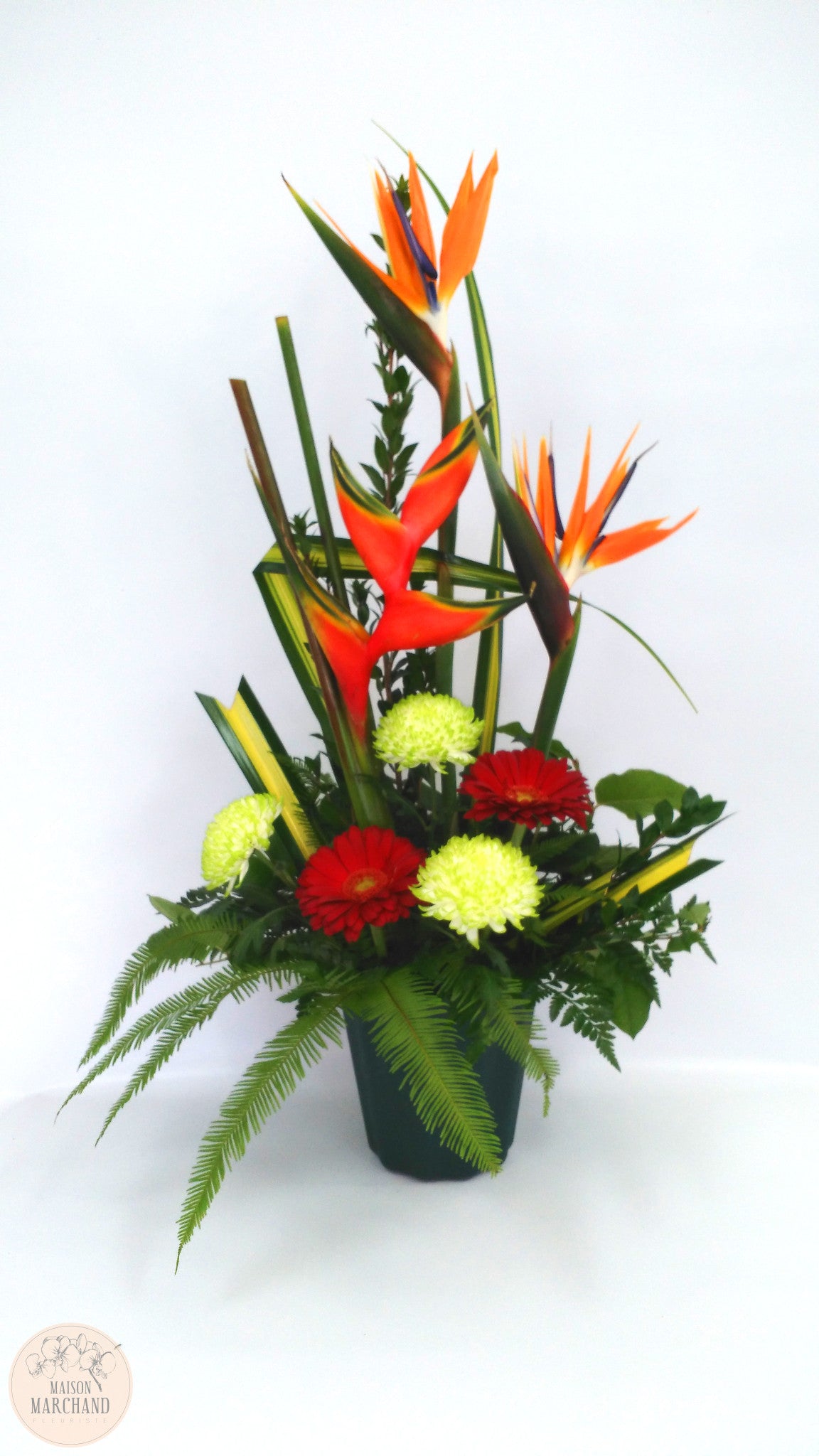 Bouquet de fleurs exotiques orange