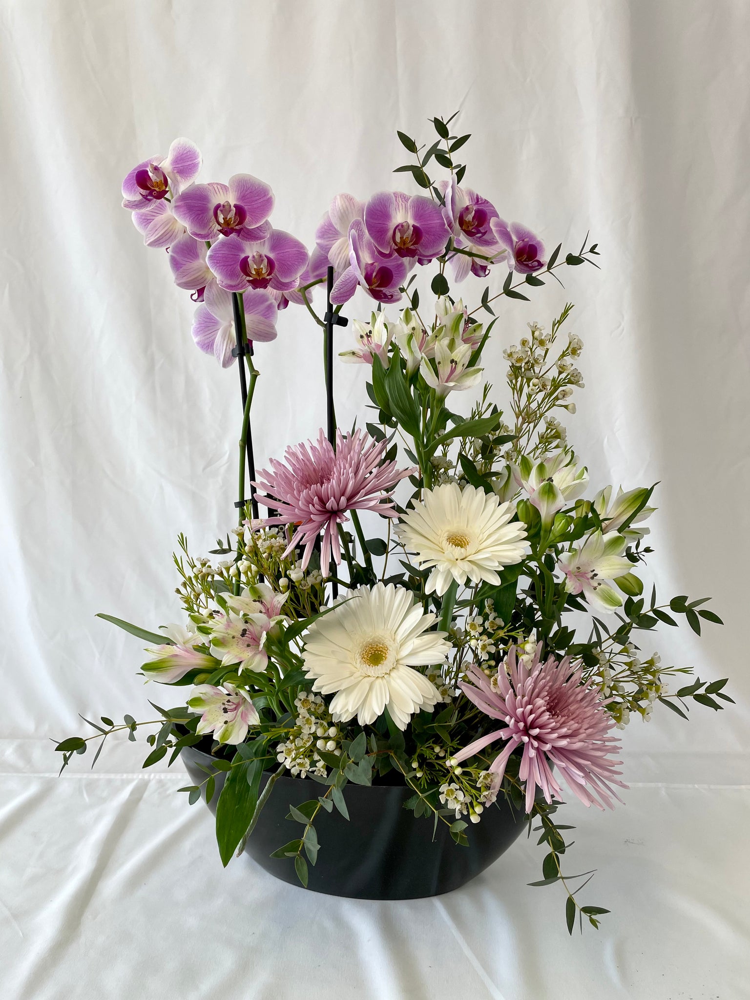 Orchidée en fleur