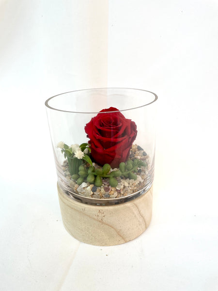Rose Éternelle de Noël