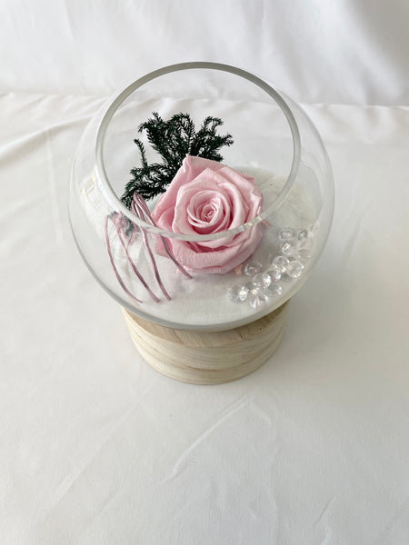 Rose Éternelle Rose